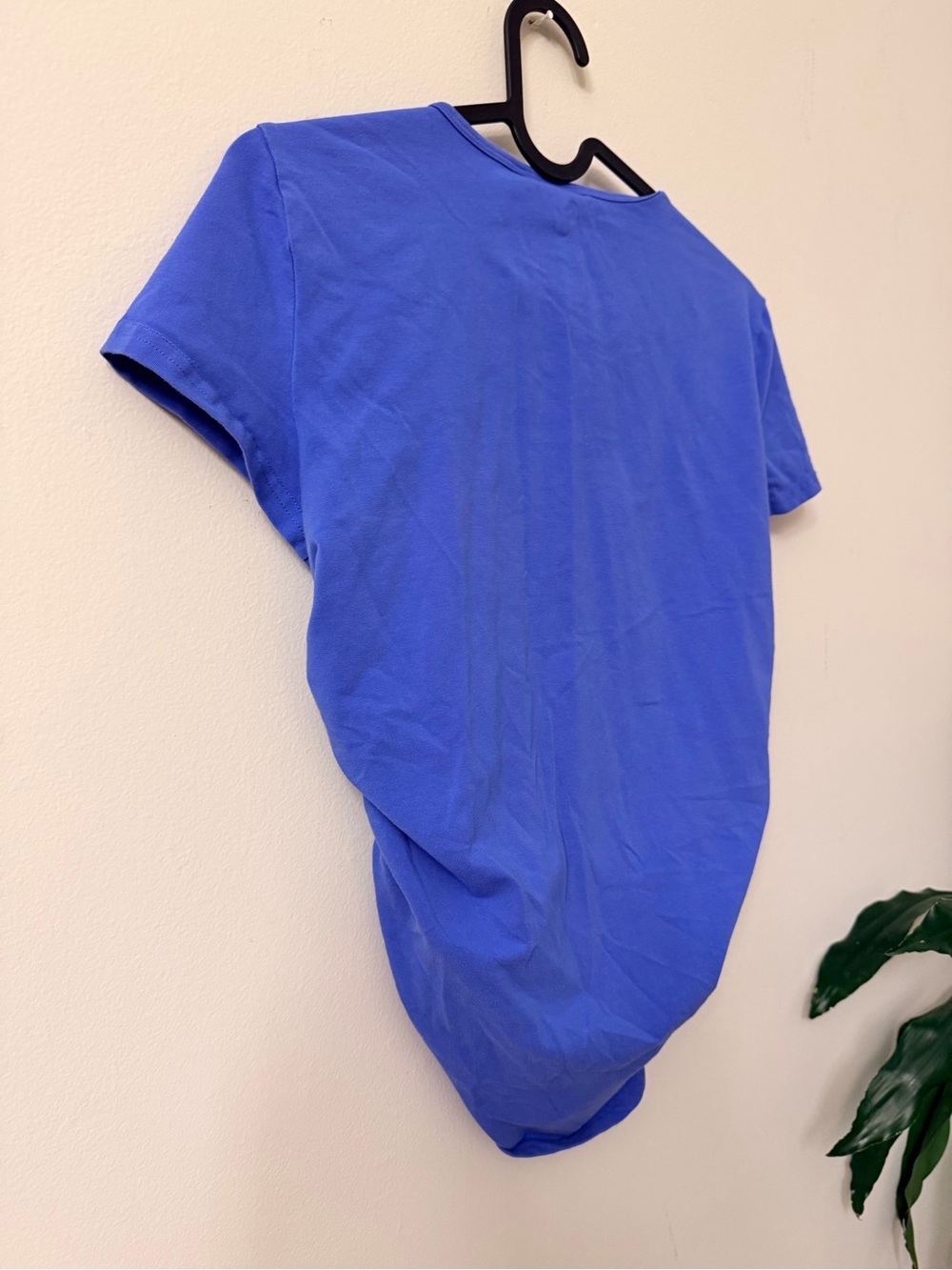 Aritzia Tee